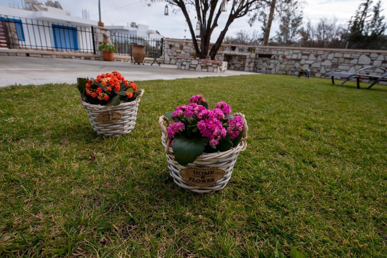 Searock Stegna Villa Archangelos  Extérieur photo