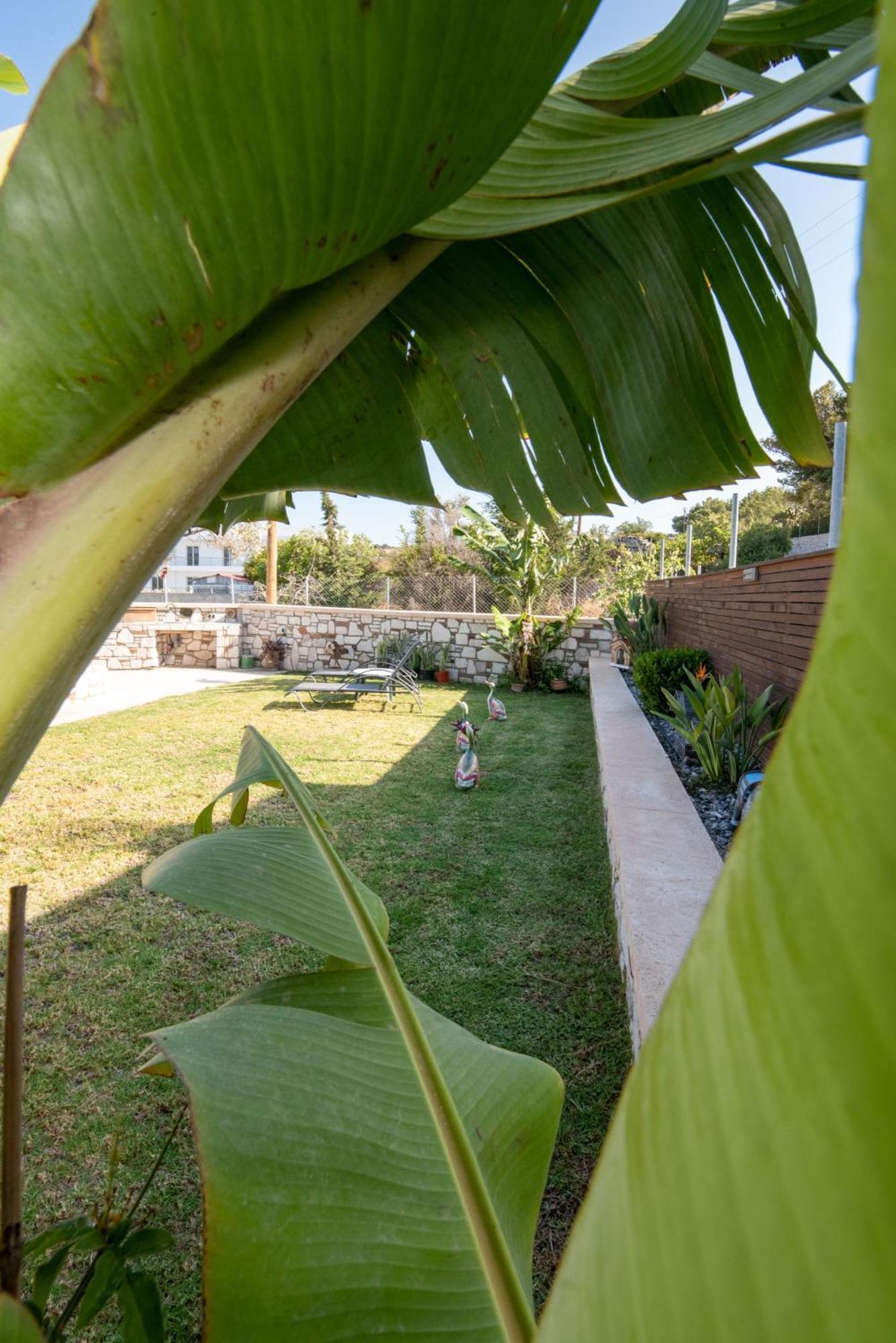Searock Stegna Villa Archangelos  Extérieur photo